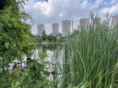Land For Sale‼️ ขายที่ดินริมน้ำ 88 ตรว.ริมบึงเมืองทองธานี ติวานนท์ ปากเกร็ด   